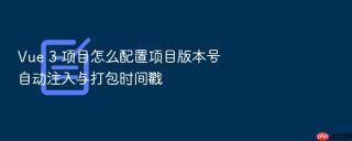 vue 3 项目怎么配置项目版本号自动注入与打包时间戳
