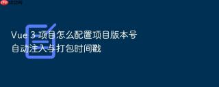 Vue 3 项目怎么配置项目版本号自动注入与打包时间戳