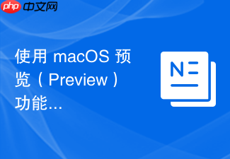 使用 macos 预览(preview)功能进行高效文件处理