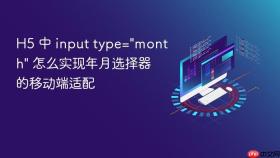 h5 中 input type=\