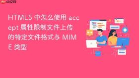 html5 中怎么使用 accept 属性限制文件上传的特定文件格式与 mime 类型