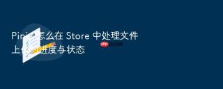 Pinia 怎么在 Store 中处理文件上传的进度与状态