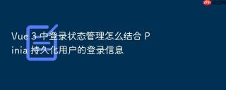 Vue 3 中登录状态管理怎么结合 Pinia 持久化用户的登录信息