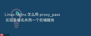linux nginx 怎么用 proxy_pass 实现多域名共用一个后端服务