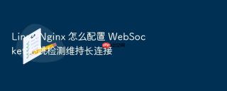 linux nginx 怎么配置 websocket 心跳检测维持长连接
