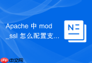 Apache 中 mod_ssl 怎么配置支持IPv6访问
