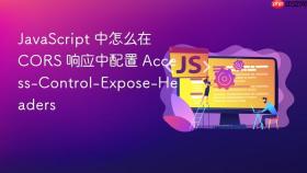 javascript 中怎么在 cors 响应中配置 access-control-expose-headers