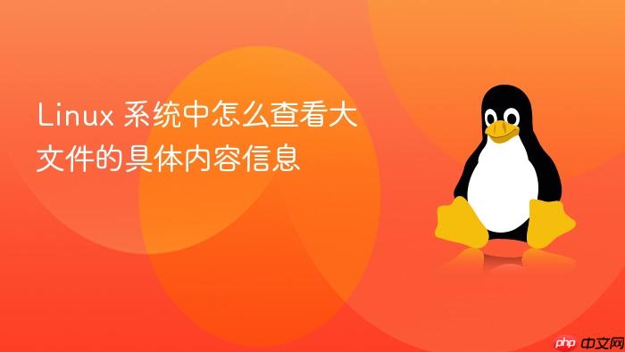 linux 系统中怎么查看大文件的具体内容信息