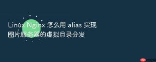 linux nginx 怎么用 alias 实现图片服务器的虚拟目录分发