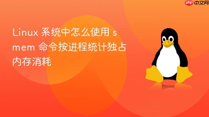 linux 系统中怎么使用 smem 命令按进程统计独占内存消耗