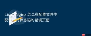 linux nginx 怎么在配置文件中配置不同状态码的错误页面