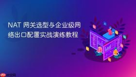 NAT 网关选型与企业级网络出口配置实战演练教程
