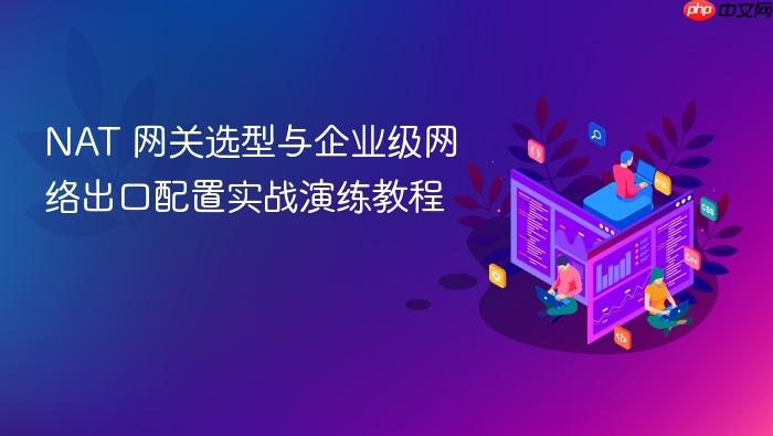 nat 网关选型与企业级网络出口配置实战演练教程
