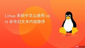 linux 系统中怎么使用 sort 命令对文本内容排序