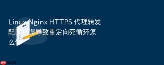 Linux Nginx HTTPS 代理转发配置错误导致重定向死循环怎么修