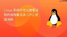 Linux 系统中怎么查看进程的线程数及其 CPU 资源消耗