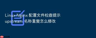 Linux Nginx 配置文件检查提示 upstream 名称重复怎么修改