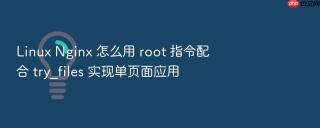 linux nginx 怎么用 root 指令配合 try_files 实现单页面应用