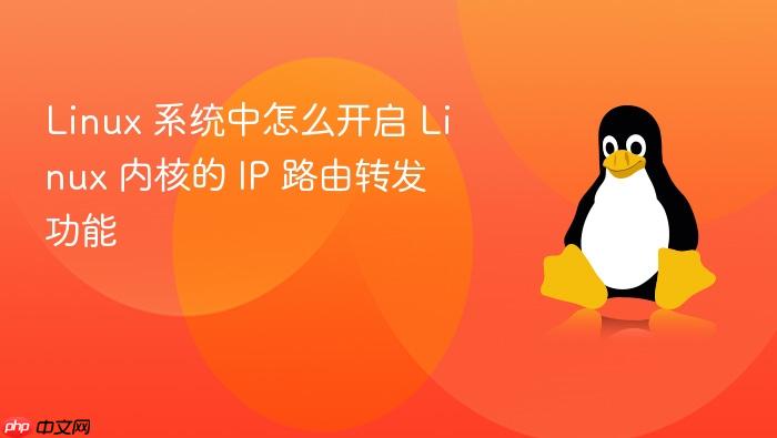 linux 系统中怎么开启 linux 内核的 ip 路由转发功能