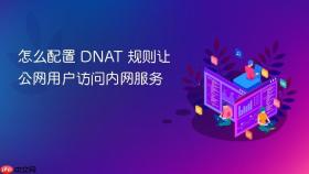 怎么配置 dnat 规则让公网用户访问内网服务