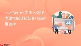 JavaScript 中怎么处理类属性默认初始化代码的覆盖率