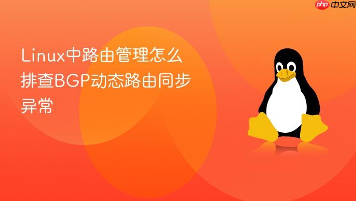 linux中路由管理怎么排查bgp动态路由同步异常