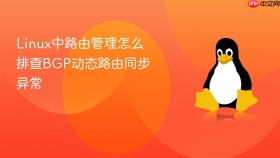 linux中路由管理怎么排查bgp动态路由同步异常