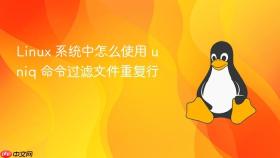 Linux 系统中怎么使用 uniq 命令过滤文件重复行