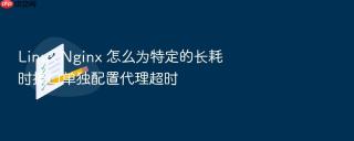 linux nginx 怎么为特定的长耗时接口单独配置代理超时