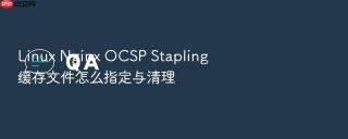 linux nginx ocsp stapling 缓存文件怎么指定与清理