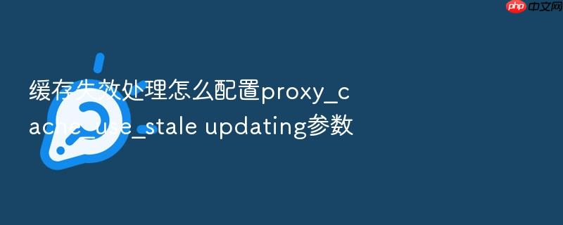 缓存失效处理怎么配置proxy_cache_use_stale updating参数