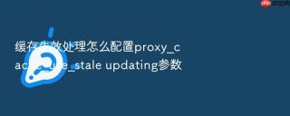 缓存失效处理怎么配置proxy_cache_use_stale updating参数