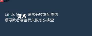 linux nginx 请求头转发配置错误导致后端鉴权失败怎么排查