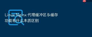 linux nginx 代理缓冲区与缓存功能有什么本质区别