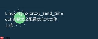 Linux Nginx proxy_send_timeout 参数怎么配置优化大文件上传