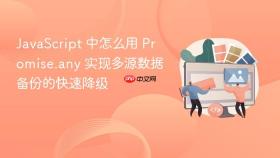 javascript 中怎么用 promise.any 实现多源数据备份的快速降级