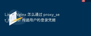 linux nginx 怎么通过 proxy_set_header 传递用户的登录凭据