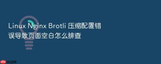 linux nginx brotli 压缩配置错误导致页面空白怎么排查