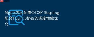 nginx怎么配置ocsp stapling配合tls 1.3协议的深度性能优化