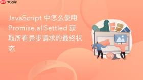 javascript 中怎么使用 promise.allsettled 获取所有异步请求的最终状态