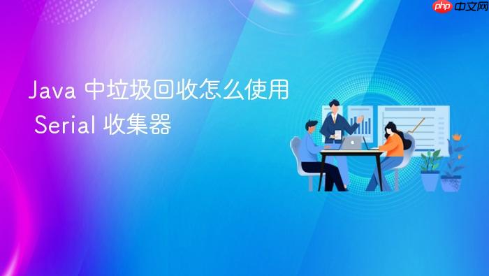 java 中垃圾回收怎么使用 serial 收集器