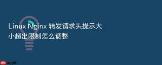 Linux Nginx 转发请求头提示大小超出限制怎么调整