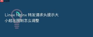 linux nginx 转发请求头提示大小超出限制怎么调整