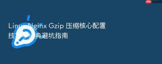 Linux Nginx Gzip 压缩核心配置技巧与经典避坑指南