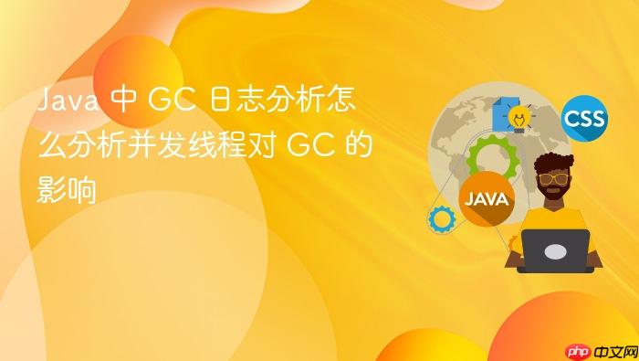 java 中 gc 日志分析怎么分析并发线程对 gc 的影响