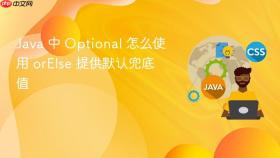 java 中 optional 怎么使用 orelse 提供默认兜底值