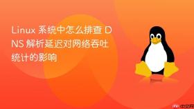 Linux 系统中怎么排查 DNS 解析延迟对网络吞吐统计的影响