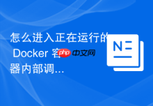怎么进入正在运行的 Docker 容器内部调试
