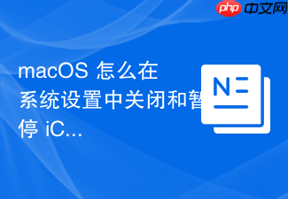 macos 怎么在系统设置中关闭和暂停 icloud 的实时文件同步