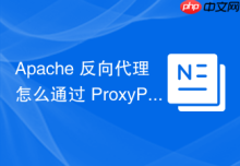 Apache 反向代理怎么通过 ProxyPassReverse 修复绝对路径